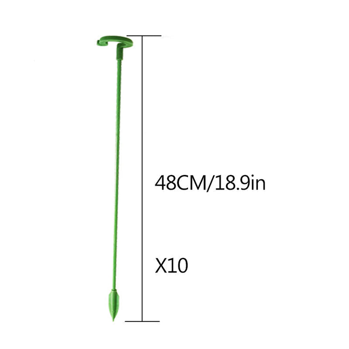Garden plant support stakes providing stability to a sprawling vine in a home garden setup