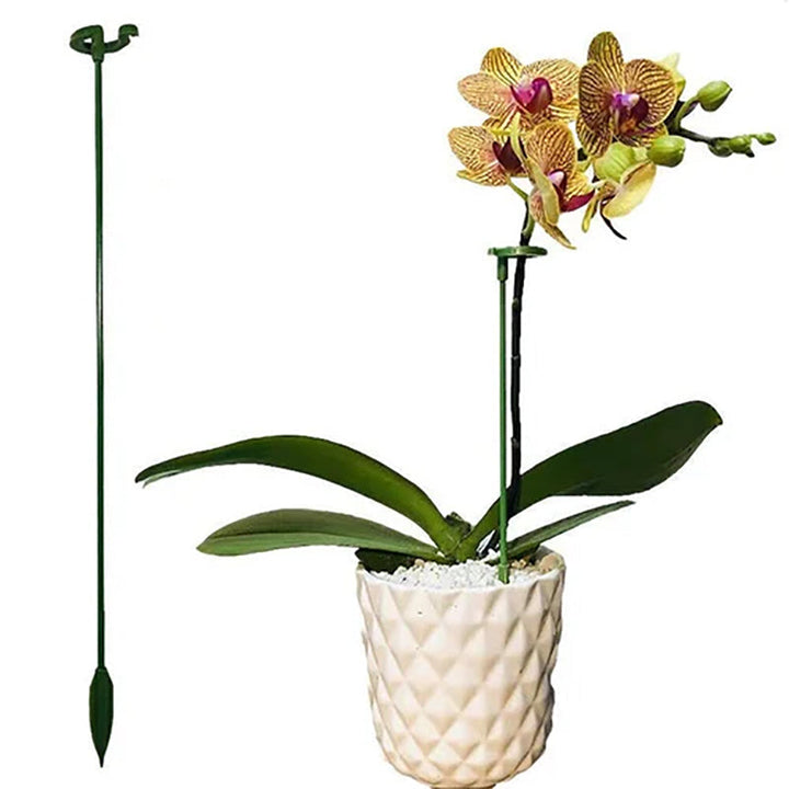 Garden plant support stakes in use, gently supporting a vibrant green leafy plant for stable growth