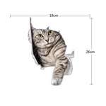 Cat 5