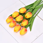 Sunset Red（7pcs）