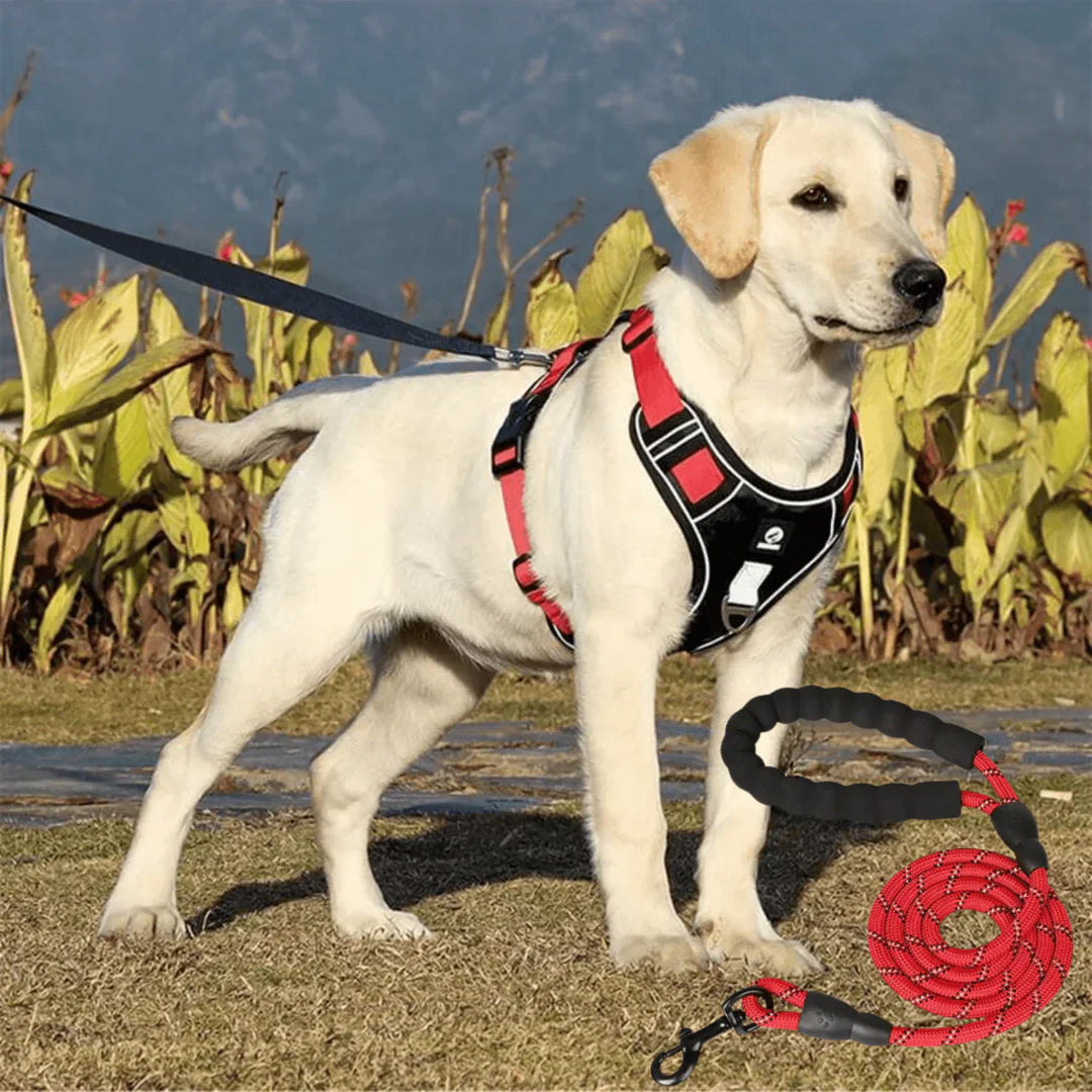 "Anti-Trek Dog Harness in Blue with comfort padding, prevents pulling, adjustable straps, available in multiple colours."