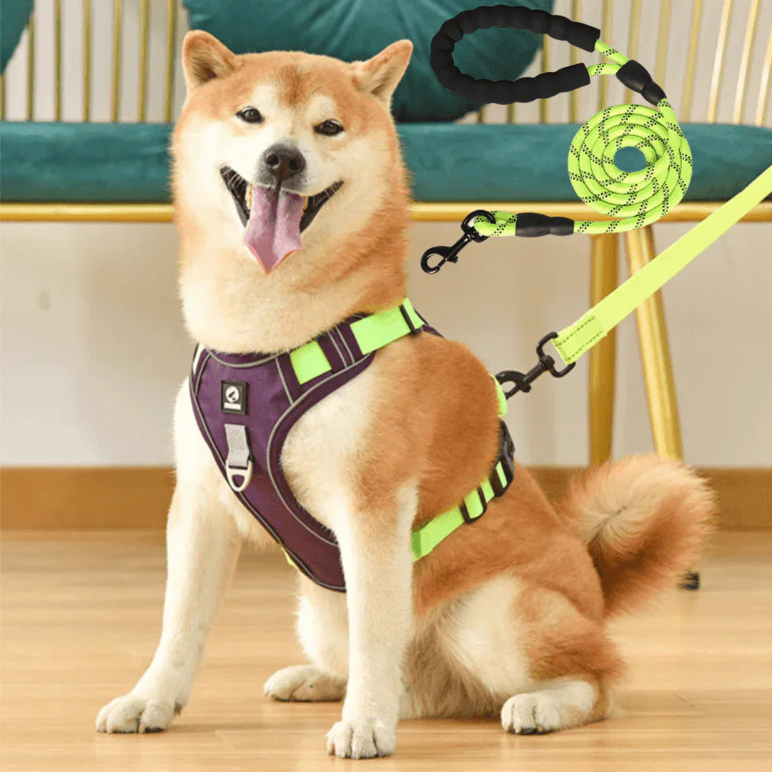 "Anti-Trek Dog Harness in Blue with comfort padding, prevents pulling, adjustable straps, available in multiple colours."