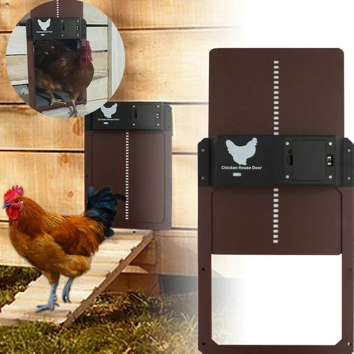 "Automatic chicken coop door system with solar options, shown in action with sleek design and easy installation features."