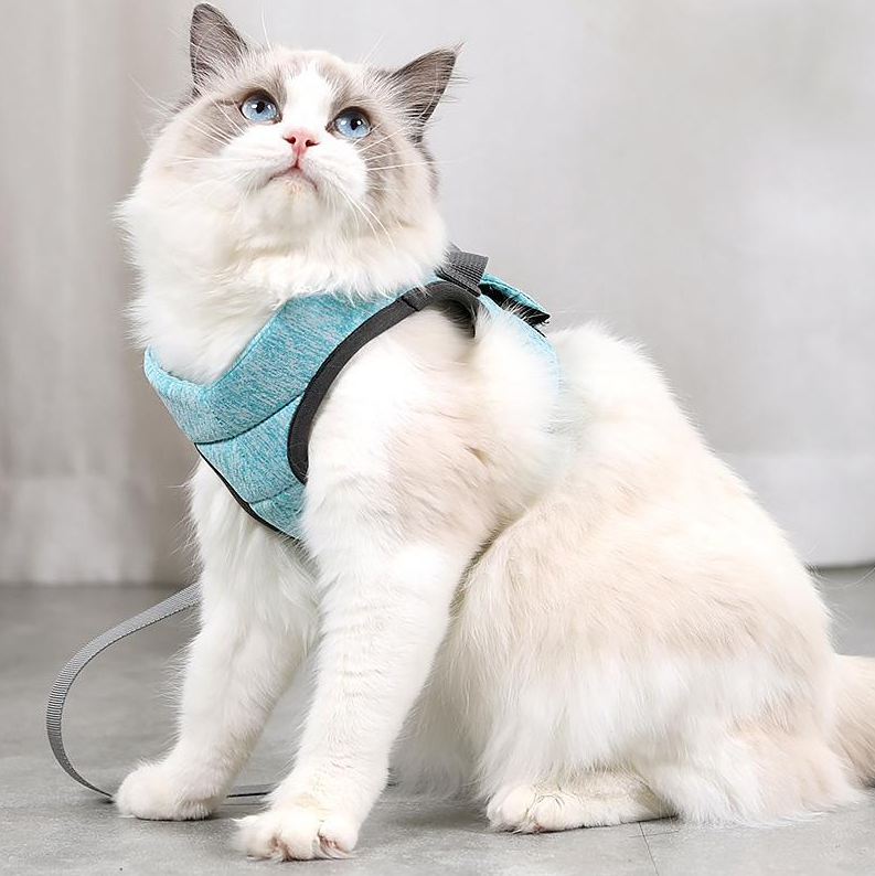 "Comfortable cat harness with lead, anti-escape design, adjustable straps, front view, for safe outdoor adventures."