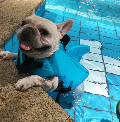 Dog life jacket with shark fin, offering buoyancy and fun for all water activities; bright material, adjustable straps.
