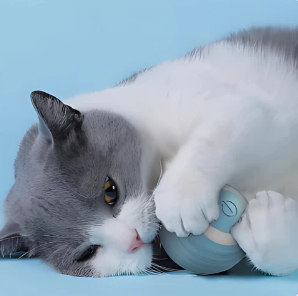 "Interactive rolling cat toy ball with vibrant feather tail, designed to engage and stimulate your cat's play instincts."