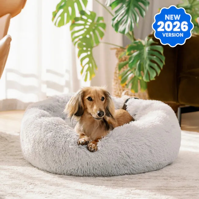 "Plush Brooklyn Deep Sleep Pet Bed in stylish colors, various sizes, perfect for your pet's comfort and home decor."