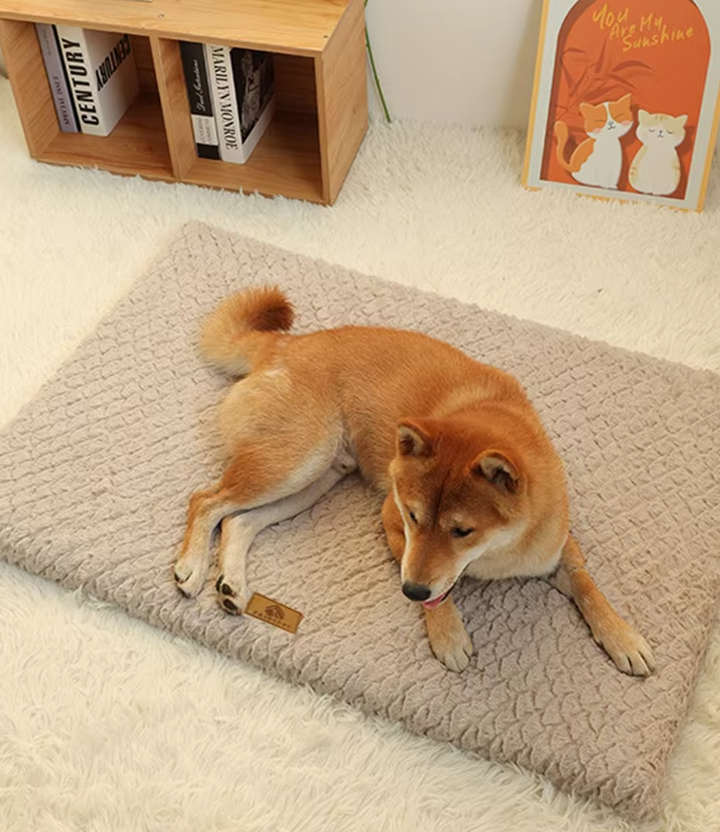 "Soft fluffy orthopaedic pet mat, plush dog & cat bed, joint support, cozy for older pets, ideal for floor and crate use."