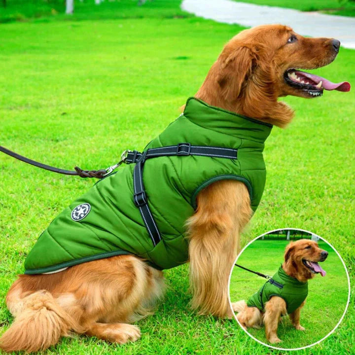 "Waterproof dog winter jacket with built-in harness, reflective stripes, and sherpa lining in vibrant colors for cold weather