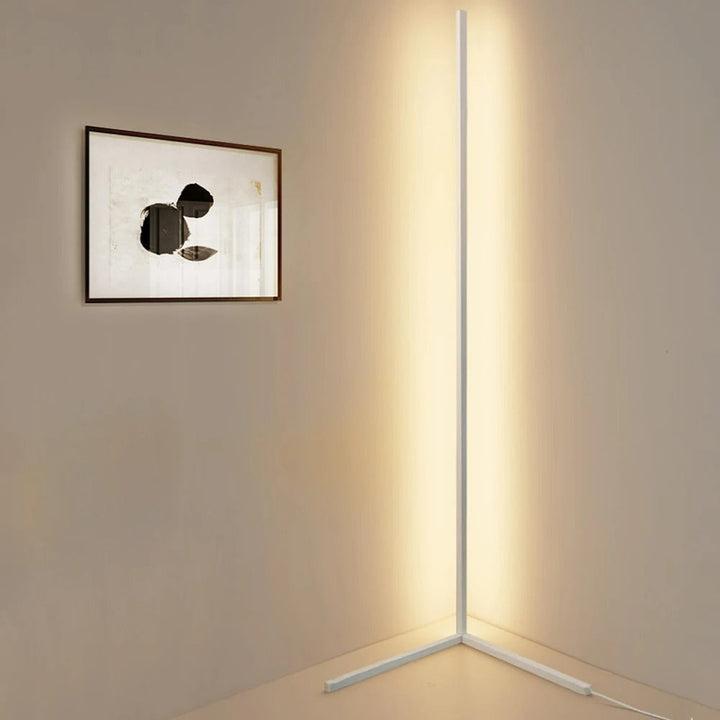 "Colorful adjustable floor lamp with remote, showcasing vibrant lighting and adjustable height, perfect for mood enhancement.