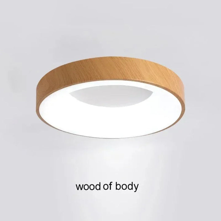 Contemporary circular metal LED ceiling light, sleek design with acrylic finish, emits soft warm or cool lighting for home de