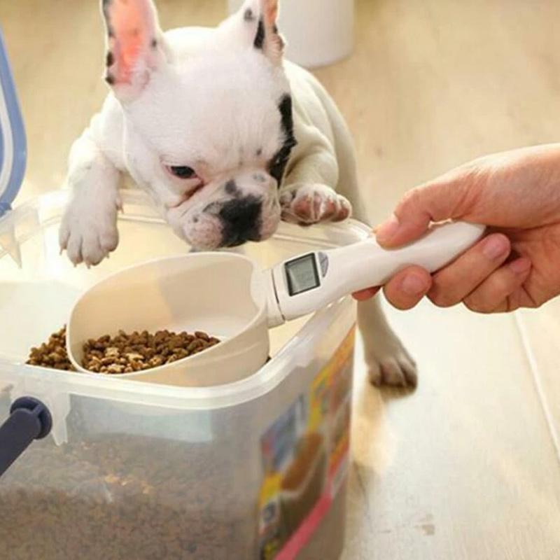 Top-down view of the measuring scoop scale, highlighting its capacity and digital interface