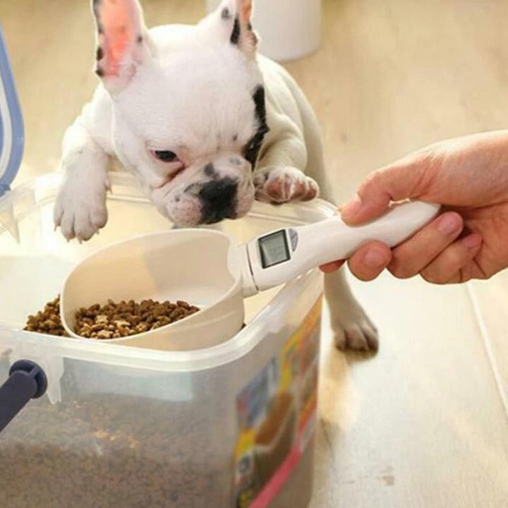 Top-down view of the measuring scoop scale, highlighting its capacity and digital interface