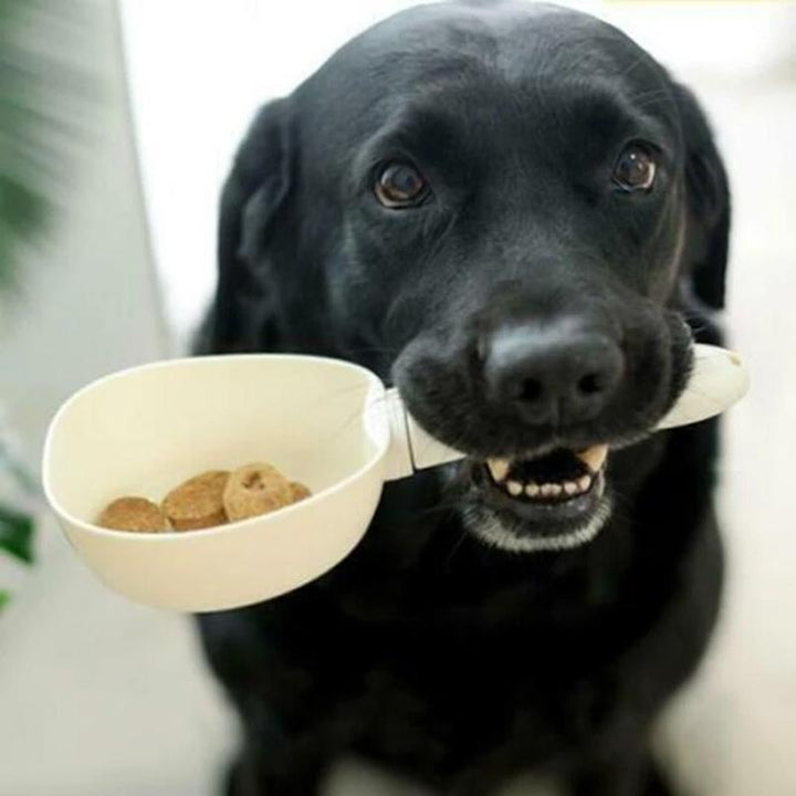 Packaging shot of the digital pet food measuring scoop scale, highlighting key features