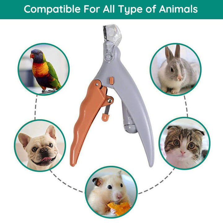 Ergonomic dog nail clippers, stainless steel, with quick sensor & LED light for safe at-home pet grooming.