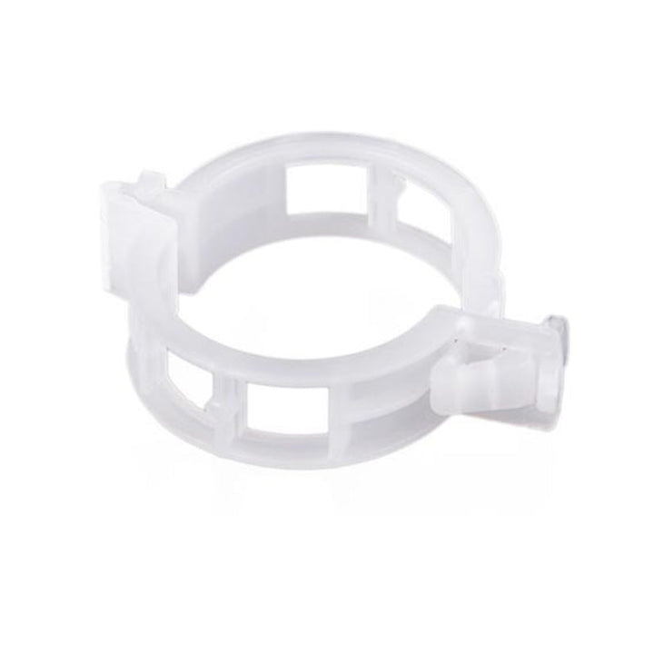 Plant support clips securing a young fruit tree branch, promoting healthy, upright growth.