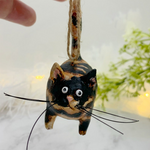 Tortie
