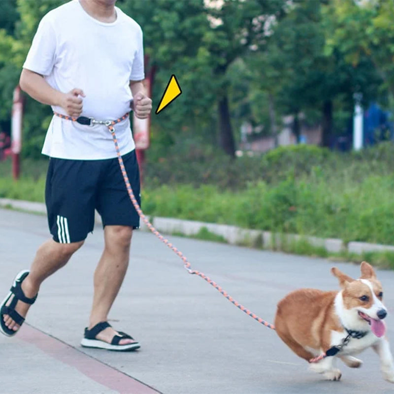Detail of the reflective stitching on a black hands-free nylon dog leash, enhancing visibility for pet care.
