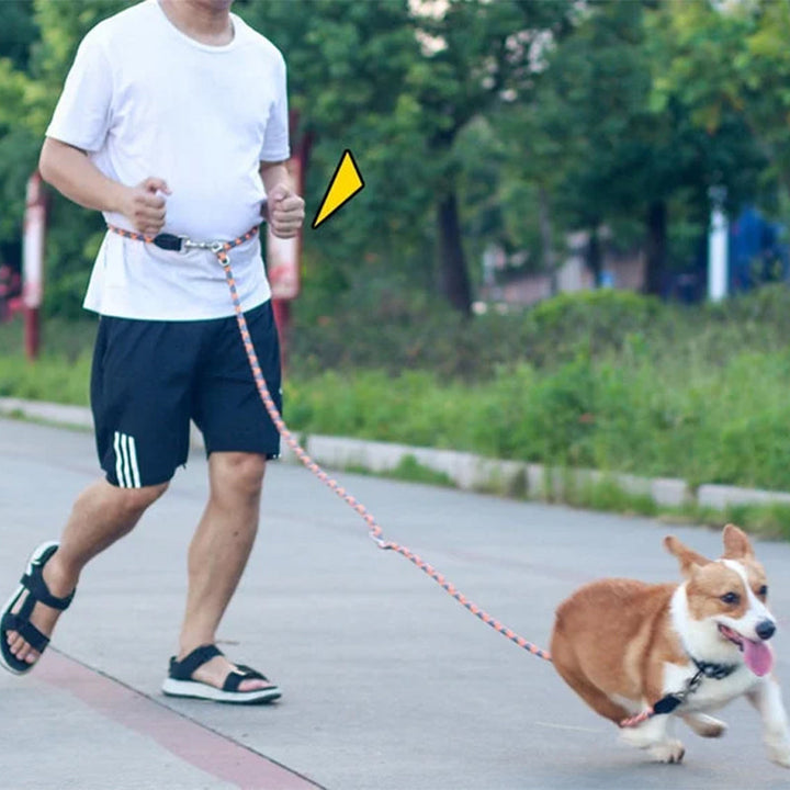 Detail of the reflective stitching on a black hands-free nylon dog leash, enhancing visibility for pet care.