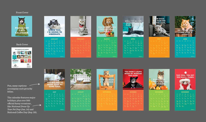 Decorative 2024-2025 cat calendar, with an amusingly stylish and annoyed cat.