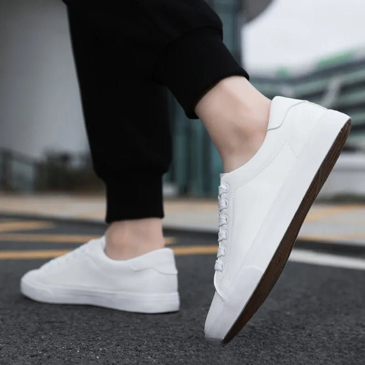 Comfortable men's everyday low-top sneakers with secure lace-up design for casual walking and style.