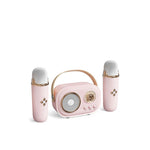 party Bluetooth Speaker--💗pink / 2 Wireless Microphone