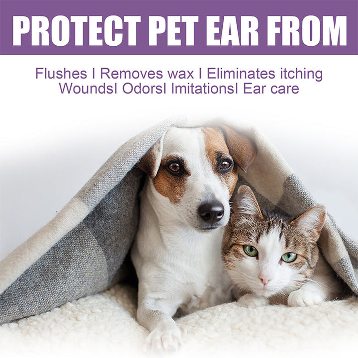 Happy cat having its ear cleaned with a pet ear wash, showing comfort and good grooming