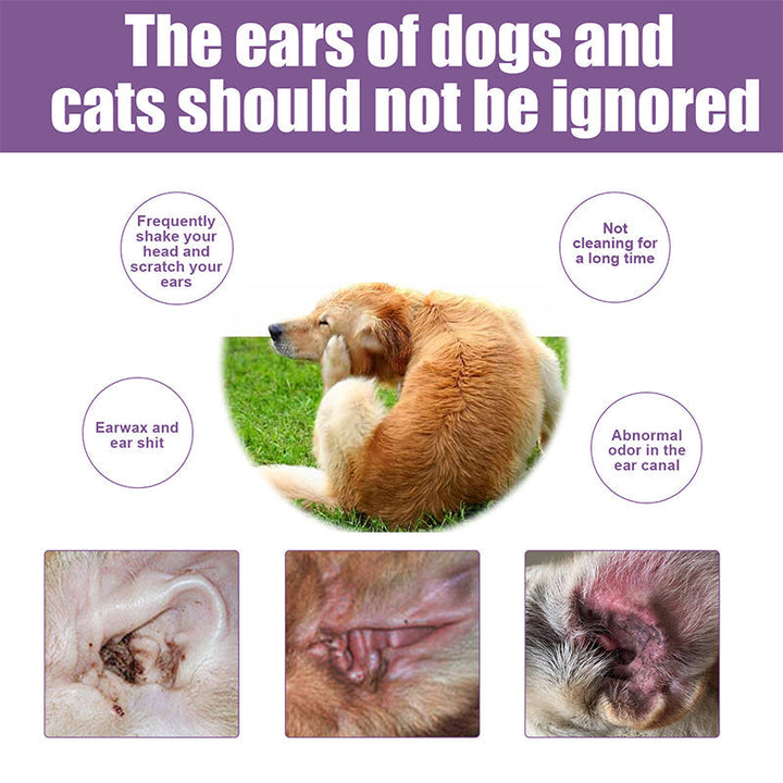 Pet ear cleansing & deodorizing solution effectively removing dirt & wax from a dog's ear