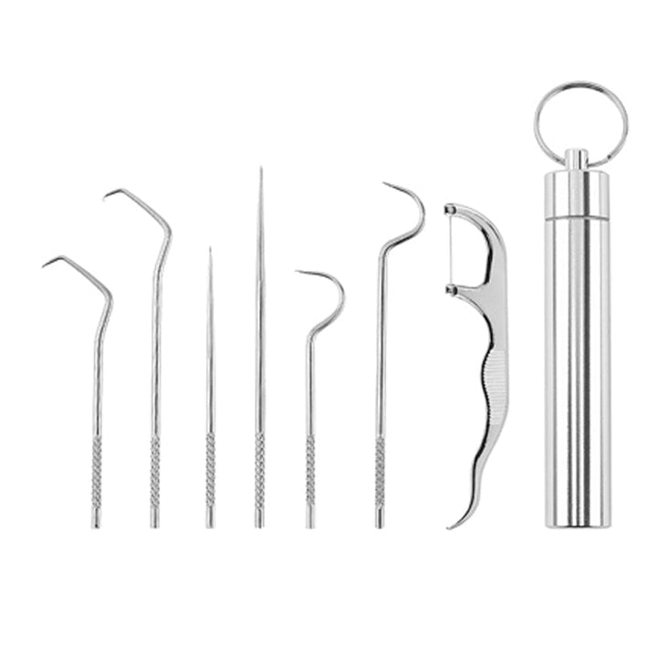 Stylish and practical stainless steel toothpick set, ensuring fresh breath and healthy oral care anywhere.