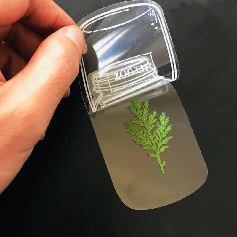 Assorted transparent bookmarks showcasing various pressed flowers, ideal for nature-inspired reading.