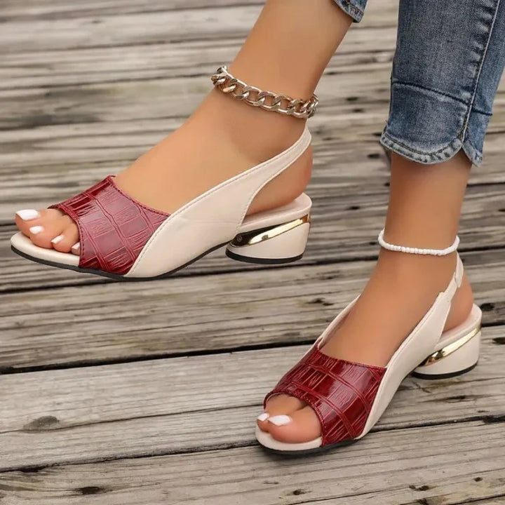 Women's comfortable sandals from the front, featuring a low block heel and sophisticated croc texture